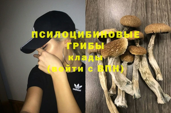 гашиш Новозыбков