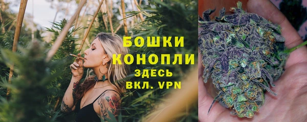 спиды Зеленодольск