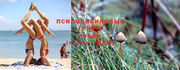 Альфа ПВП Заволжье