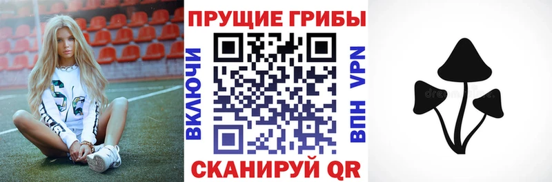 Галлюциногенные грибы Psilocybine cubensis  купить наркотики сайты  Рудня 